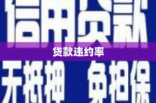淳安贷款违约率