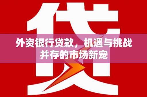 淳安外资银行贷款，机遇与挑战并存的市场新宠