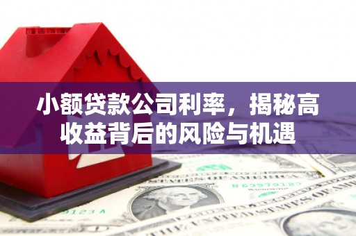 淳安小额贷款公司利率，揭秘高收益背后的风险与机遇
