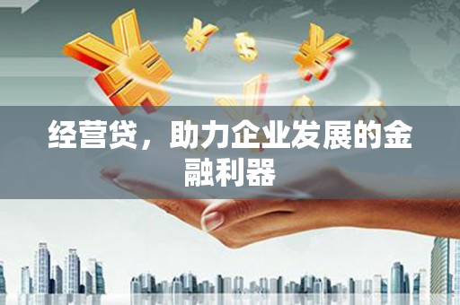 淳安经营贷，助力企业发展的金融利器