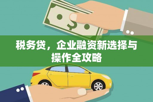 淳安税务贷，企业融资新选择与操作全攻略