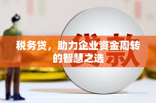 淳安税务贷，助力企业资金周转的智慧之选