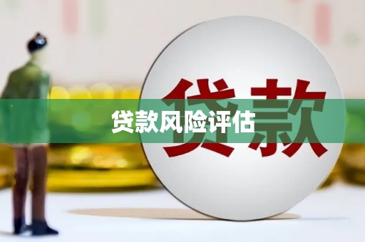 淳安贷款风险评估