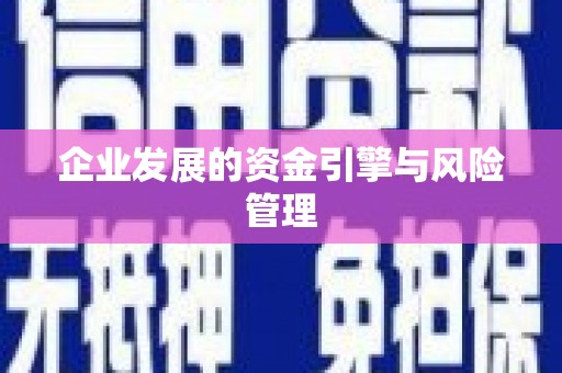 淳安企业发展的资金引擎与风险管理