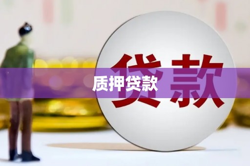 淳安质押贷款