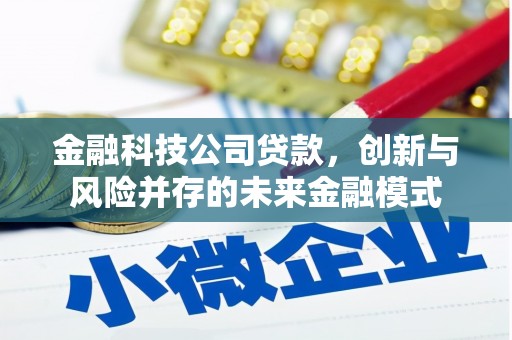 淳安金融科技公司贷款，创新与风险并存的未来金融模式