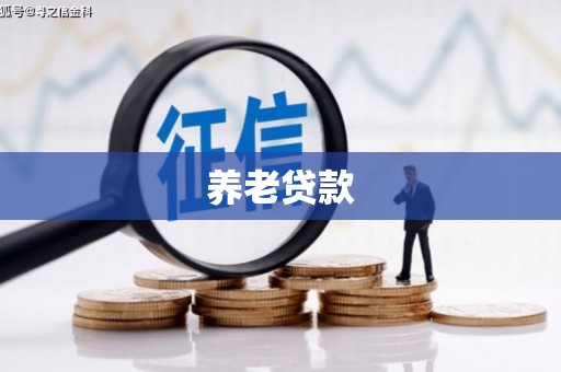 淳安养老贷款