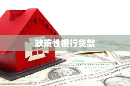 淳安政策性银行贷款