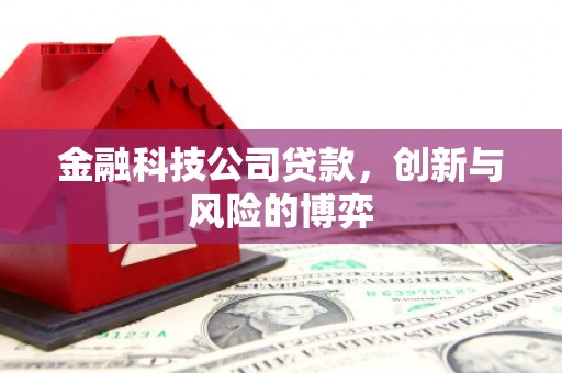 淳安金融科技公司贷款，创新与风险的博弈
