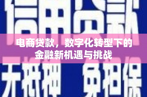 淳安电商贷款，数字化转型下的金融新机遇与挑战