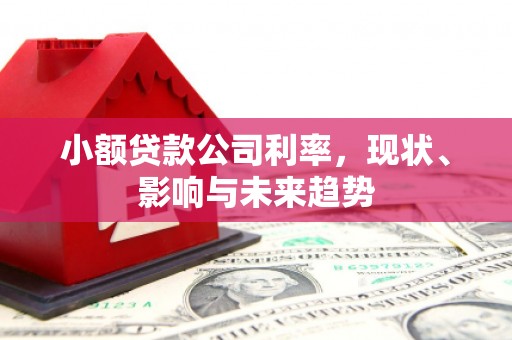 淳安小额贷款公司利率，现状、影响与未来趋势