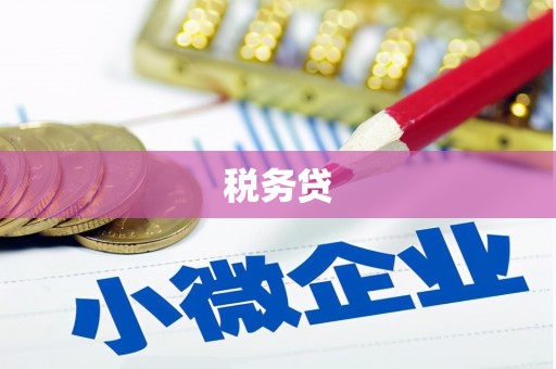 淳安税务贷