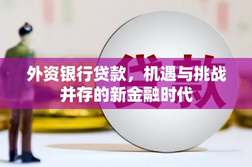 淳安外资银行贷款，机遇与挑战并存的新金融时代