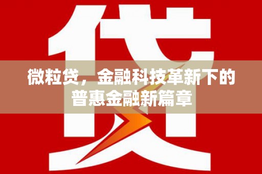 淳安微粒贷，金融科技革新下的普惠金融新篇章