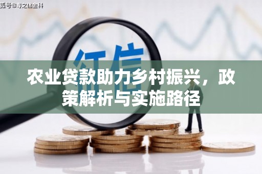 淳安农业贷款助力乡村振兴，政策解析与实施路径