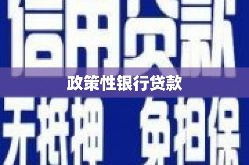 淳安政策性银行贷款
