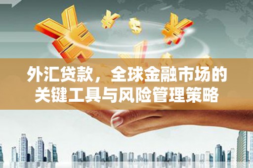 淳安外汇贷款，全球金融市场的关键工具与风险管理策略