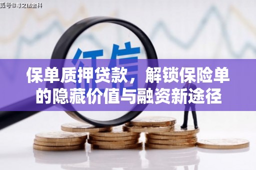 淳安保单质押贷款，解锁保险单的隐藏价值与融资新途径
