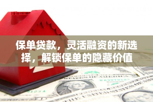 淳安保单贷款，灵活融资的新选择，解锁保单的隐藏价值
