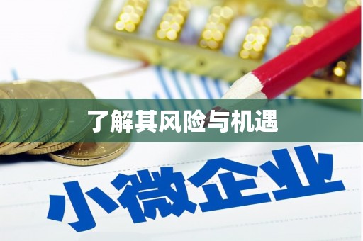 淳安了解其风险与机遇
