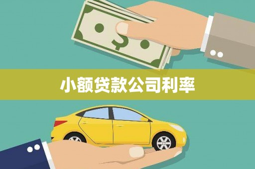 淳安小额贷款公司利率