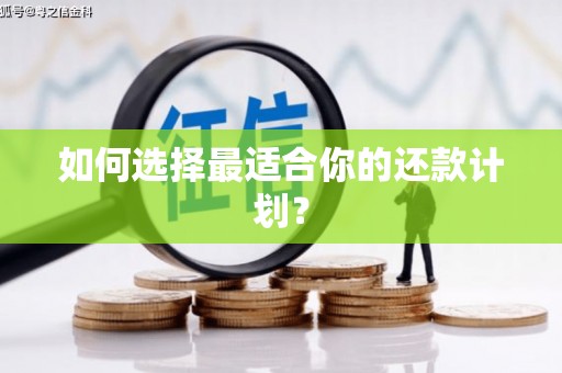 淳安如何选择最适合你的还款计划？