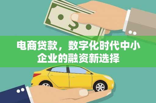 淳安电商贷款，数字化时代中小企业的融资新选择
