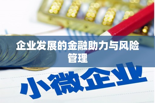 淳安企业发展的金融助力与风险管理