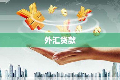 淳安外汇贷款