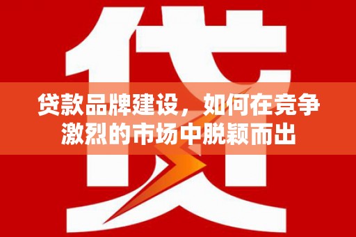 淳安贷款品牌建设，如何在竞争激烈的市场中脱颖而出