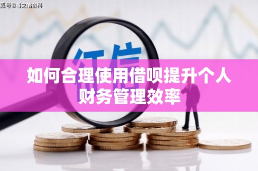 淳安如何合理使用借呗提升个人财务管理效率