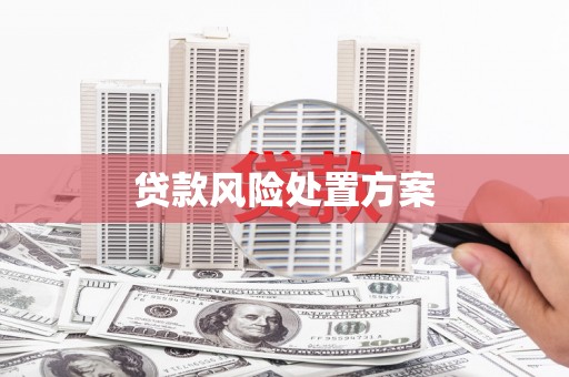 淳安贷款风险处置方案