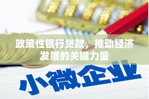 淳安政策性银行贷款，推动经济发展的关键力量