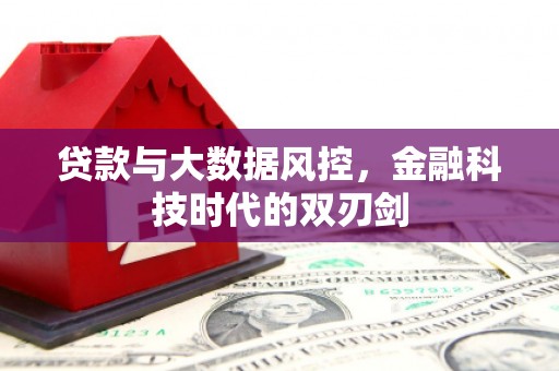 淳安贷款与大数据风控，金融科技时代的双刃剑