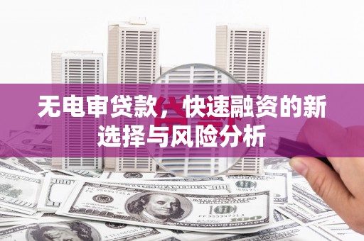 淳安无电审贷款，快速融资的新选择与风险分析