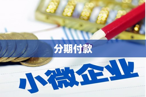 淳安分期付款
