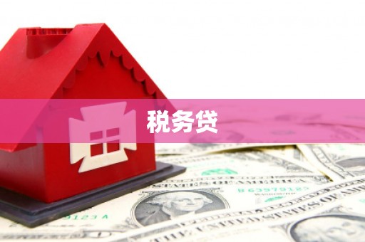 淳安税务贷
