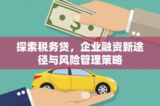 淳安探索税务贷，企业融资新途径与风险管理策略