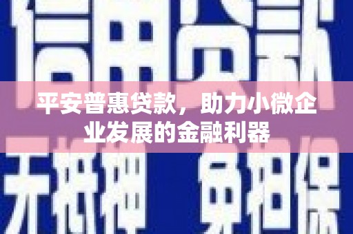 淳安平安普惠贷款，助力小微企业发展的金融利器