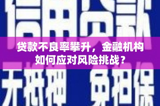 淳安贷款不良率攀升，金融机构如何应对风险挑战？