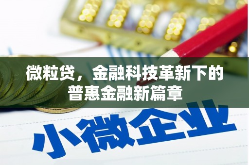 淳安微粒贷，金融科技革新下的普惠金融新篇章