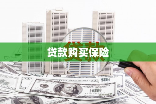 淳安贷款购买保险