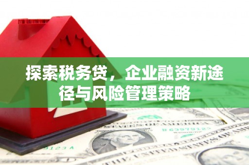 淳安探索税务贷，企业融资新途径与风险管理策略
