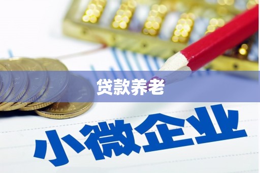 淳安贷款养老
