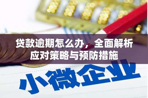 淳安贷款逾期怎么办，全面解析应对策略与预防措施