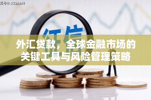 淳安外汇贷款，全球金融市场的关键工具与风险管理策略