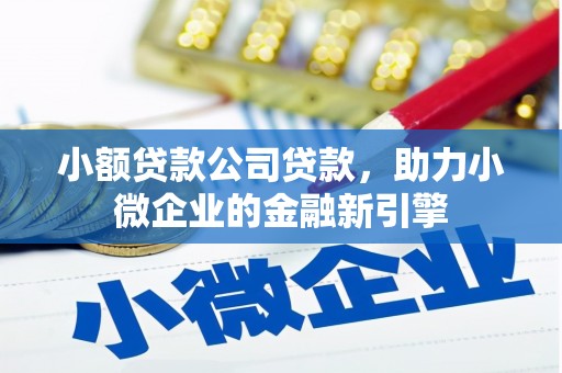 淳安小额贷款公司贷款，助力小微企业的金融新引擎