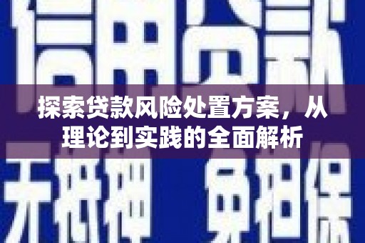 淳安探索贷款风险处置方案，从理论到实践的全面解析