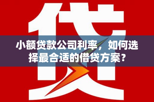 淳安小额贷款公司利率，如何选择最合适的借贷方案？