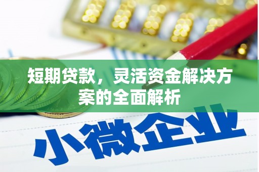 淳安短期贷款，灵活资金解决方案的全面解析